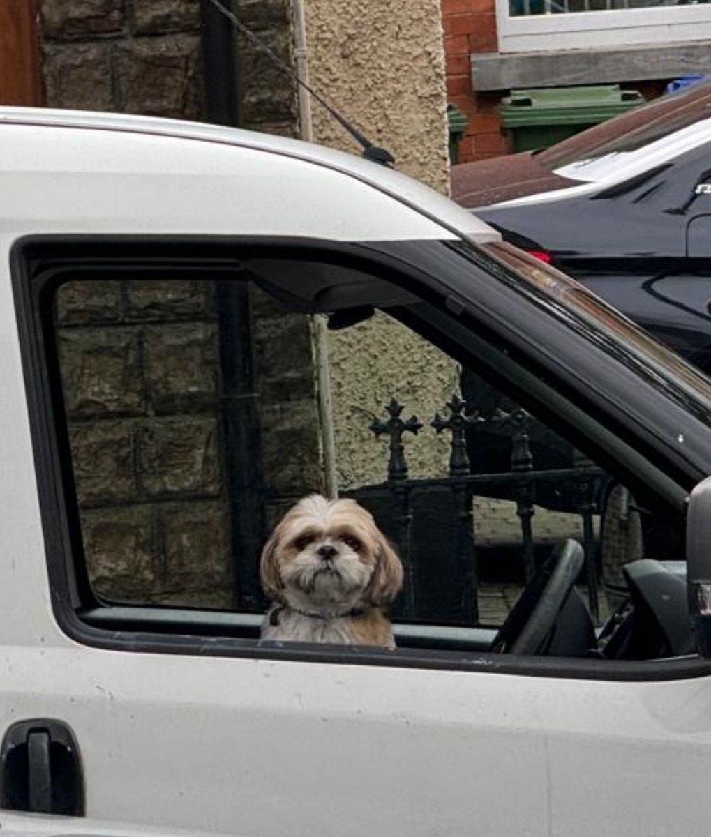While I was campaigning today in Swords and Malahide, we spotted this little voter and even he said he was voting for me. 
Even the dogs on the streets know I’m the best man for the job.
