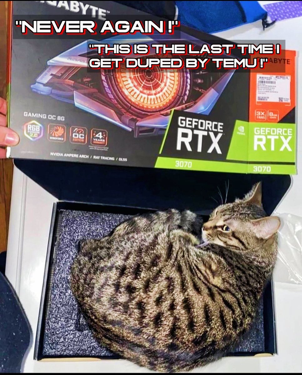 Fool me once Temu...but fool me twice. ...
And l'll end up with 2 cats. This is Neko. She's a snuggler.

-> This is the last time I get a discounted Temu GPMow!

#temu #pchardware #custompc #enviousmods #pc #temuscam #meme #memes