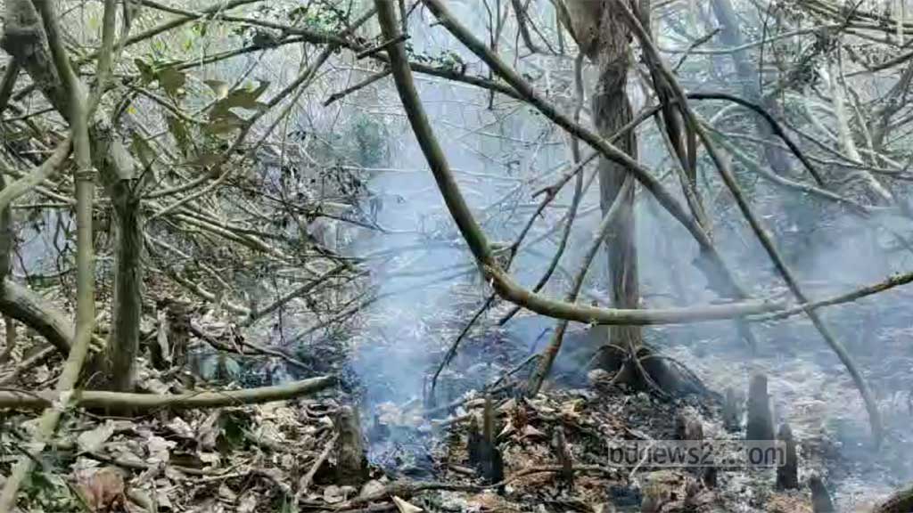 A fire has been burning in an area in the eastern #Sundarbans of #Bangladesh since Saturday afternoon. The fire has not yet been extinguished. 

There have been 23 fires in the #Sundarbans last two decades.

The risk of #naturalhazards is also increasing in the #Sundarbans.
