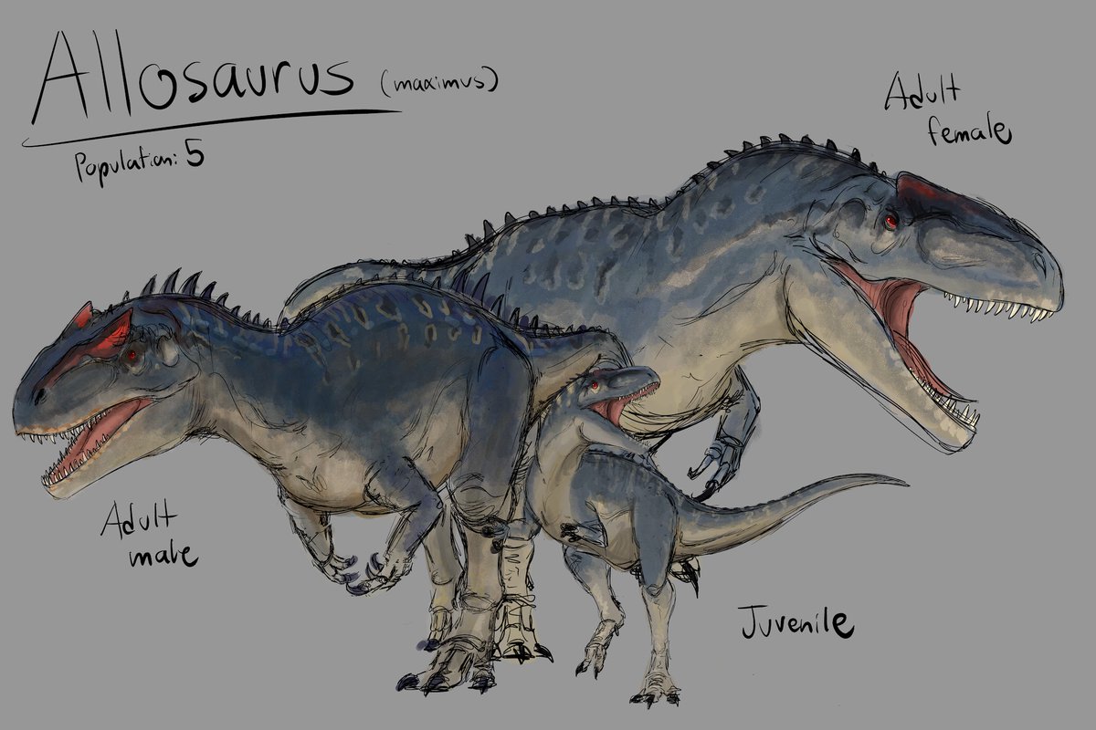 Sketch design for three forms of Allosaurus for my #JurassicWorld rewrite project. 

(They're definitely not based on Saurophaganax, what?No, I would never~)