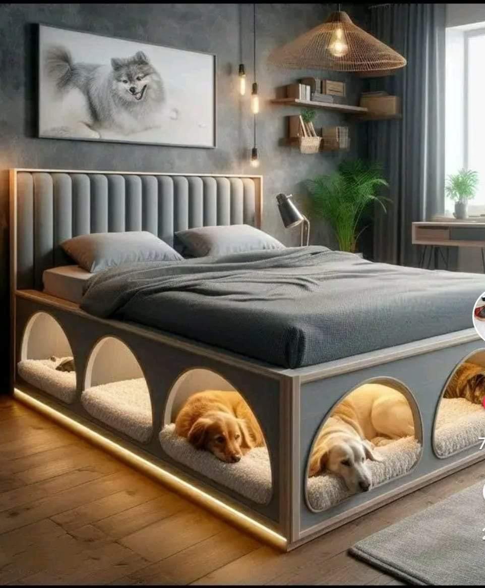 if this was accurate the dogs would be on top of the bed and the humans would be peeking out the holes in the bottom