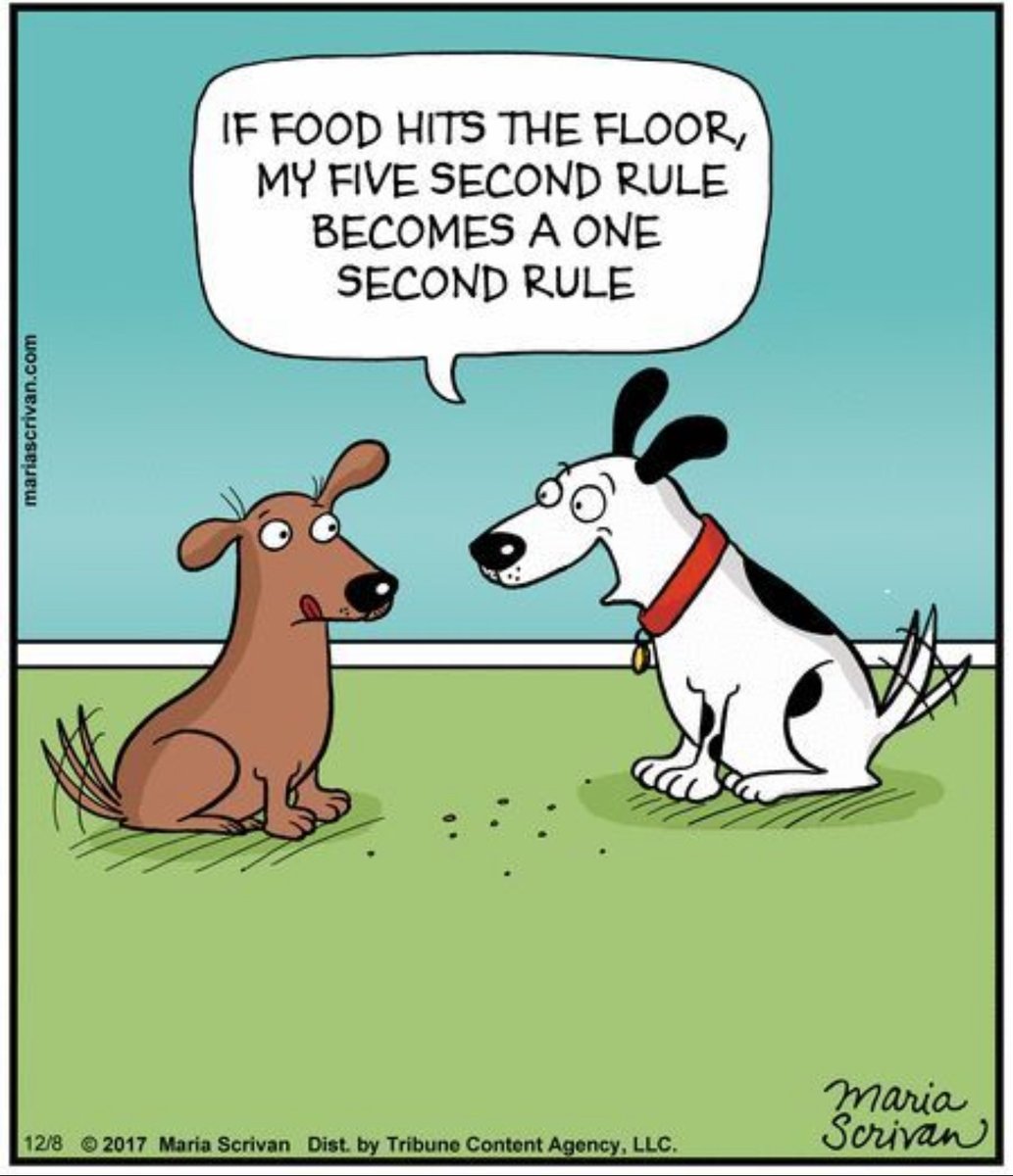 Anyone else's four-legged friend holding the record for quickest clean-up crew?🐶🤣  
 Comic  Credit  :  @maria_scrivan 
#doghumor #dogcomic #dogmeme #dogmomsclub #dogtreats #dogtreatsfordays #funnymemesdaily #funnycomic #dogfunny #dogtv #dogcomicstrips