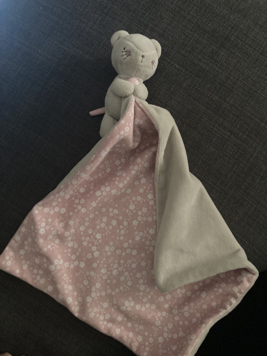 Has anyone on the #southcoast seen or picked up a mouse comforter like this today? We had lunch @SouthseaCafe but they haven’t seen it. Visited the Canoe Lake play area and parked in the car park there. Hoping he can be reunited with my daughter 🤞🏼🙏🏼 #southsea #southseacanoelake