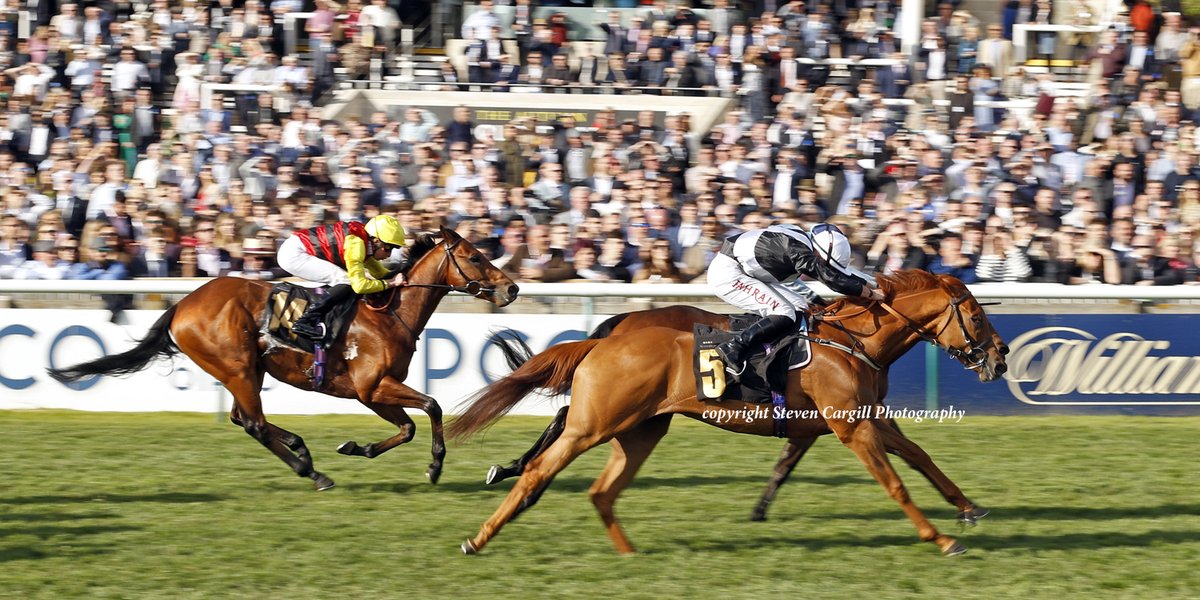 2nd win for filly KEY TO COTAI @TomMarquand in 7f 3yo handicap @NewmarketRace today for @HoStud Cotai Glory @edwalkerracing