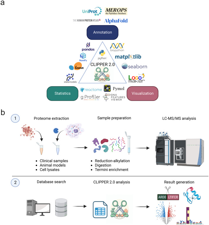 CLIPPER 2.0: Peptide level annotation and data analysis for positional proteomics mcponline.org/article/S1535-…

---
#proteomics #prot-paper