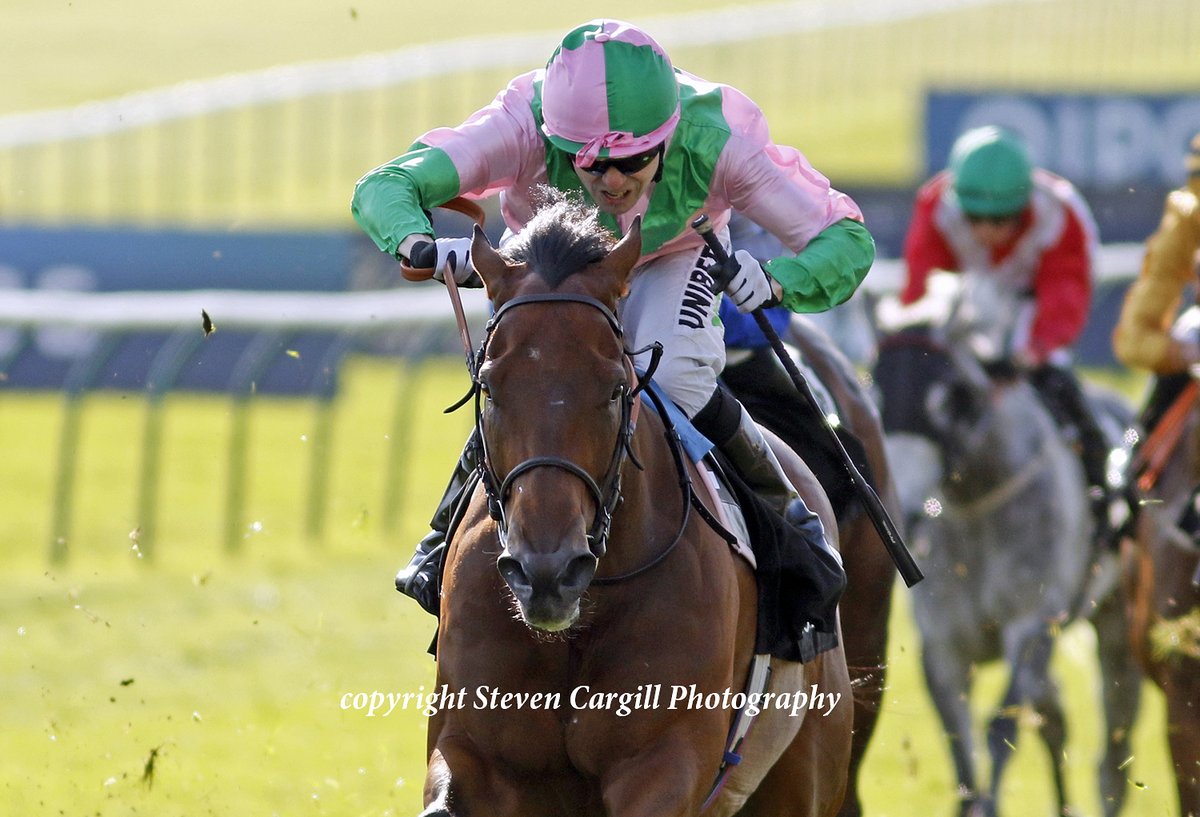 Steven Cargill (@steven_cargill) on Twitter photo 3rd win for 4yo g CRACK SHOT in 8f handicap <a href="/NewmarketRace/">Newmarket Racecourse</a> today for <a href="/JuddmonteFarms/">Juddmonte</a> Kingman <a href="/edwalkerracing/">Ed Walker Racing</a> with <a href="/JPSPENCER1980/">JamieSpencer π΄</a> 3rd win for 4yo g CRACK SHOT in 8f handicap <a href="/NewmarketRace/">Newmarket Racecourse</a> today for <a href="/JuddmonteFarms/">Juddmonte</a> Kingman <a href="/edwalkerracing/">Ed Walker Racing</a> with <a href="/JPSPENCER1980/">JamieSpencer π΄</a>
