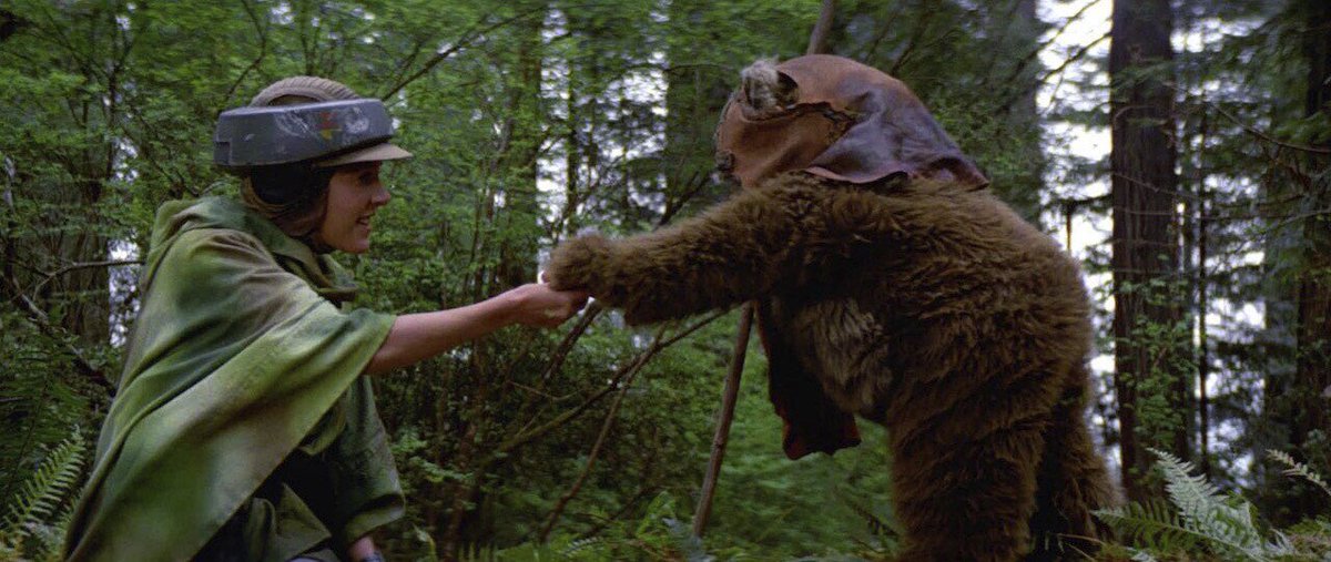 Even Leia Chose Bear 🐻 
Happy Star Wars Day
#BearOrMan 
#maythe4thbewithyou