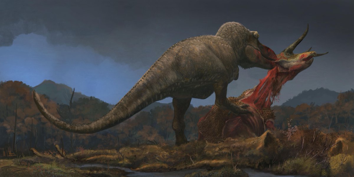 What was on the T. rex menu? These fearsome predators devoured massive herbivores, juvenile dinosaurs, and even engaged in cannibalism.

discovermagazine.com/the-sciences/t…

#fossils #paleontology