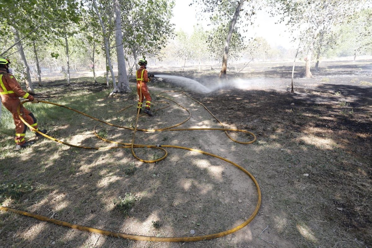 Ferran Dalmau - Rovira tweet media