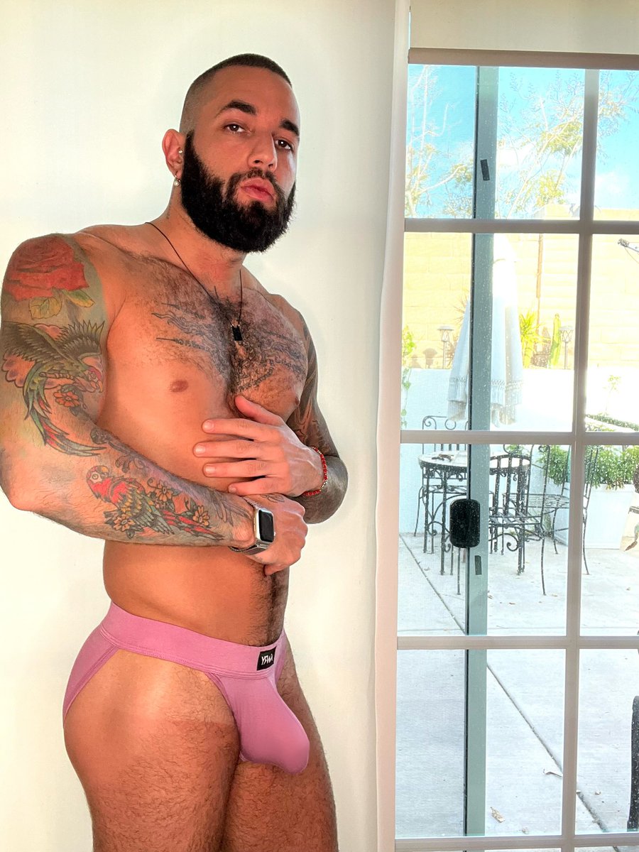 Gus @rambunctiousgus - Twitter Profile | Sotwe