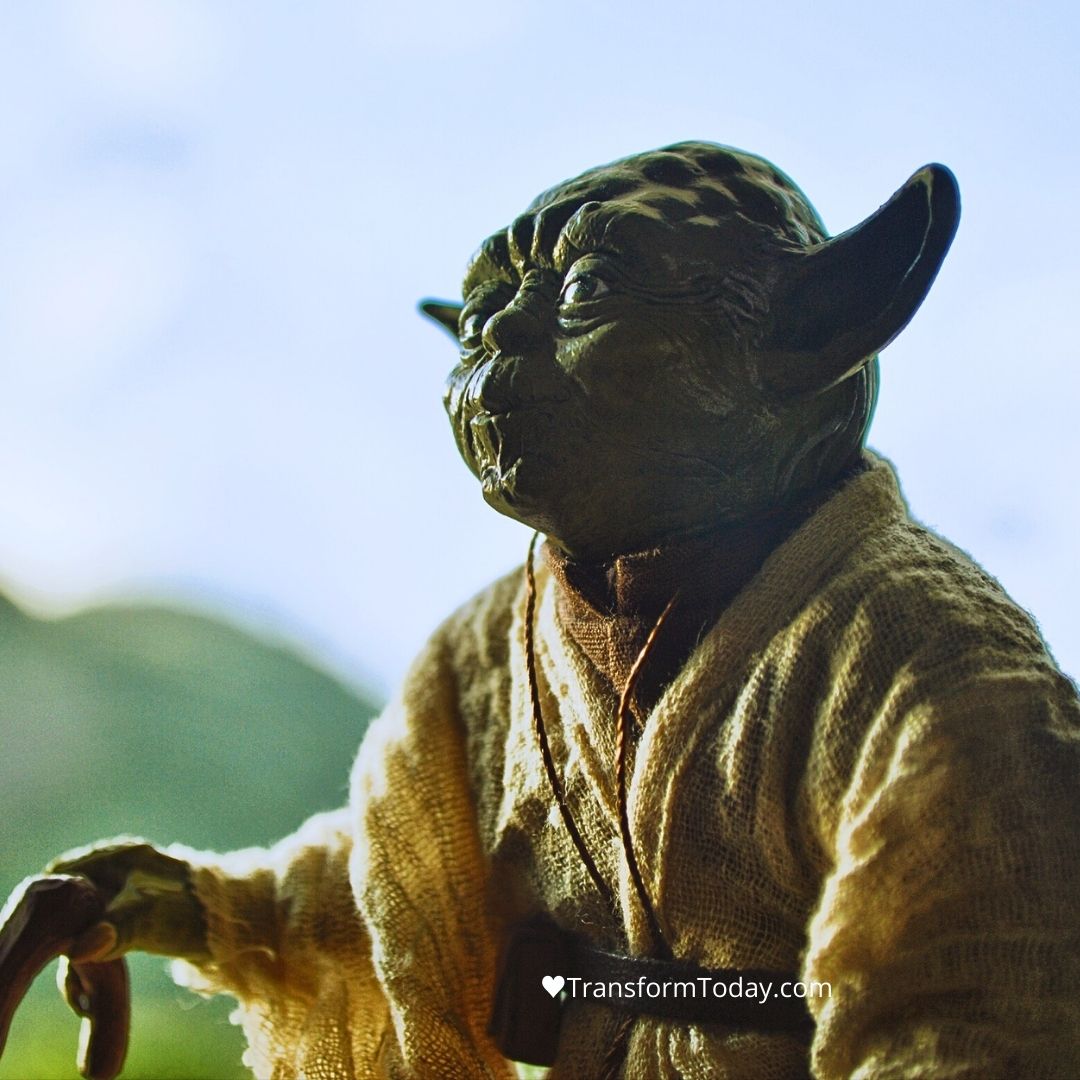 LauraRubinstein's tweet image. Though it may be galaxies away, may the force be with you. 💫

May you tap into your inner knowing and strength and know you are magnificent.

Smile at a stranger, pay something forward, offer a helping hand.

Be a hero to someone today. 🫶

#HappyStarWarsDay to you 🙌🌟