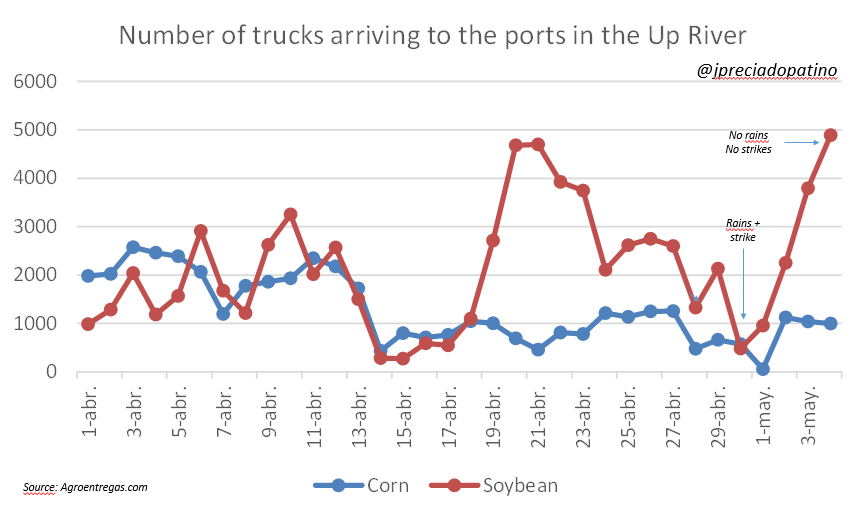 The arrival of #soybean trucks at port terminals in the Up River normalizes #oilseeds #vegoils #agribusiness
