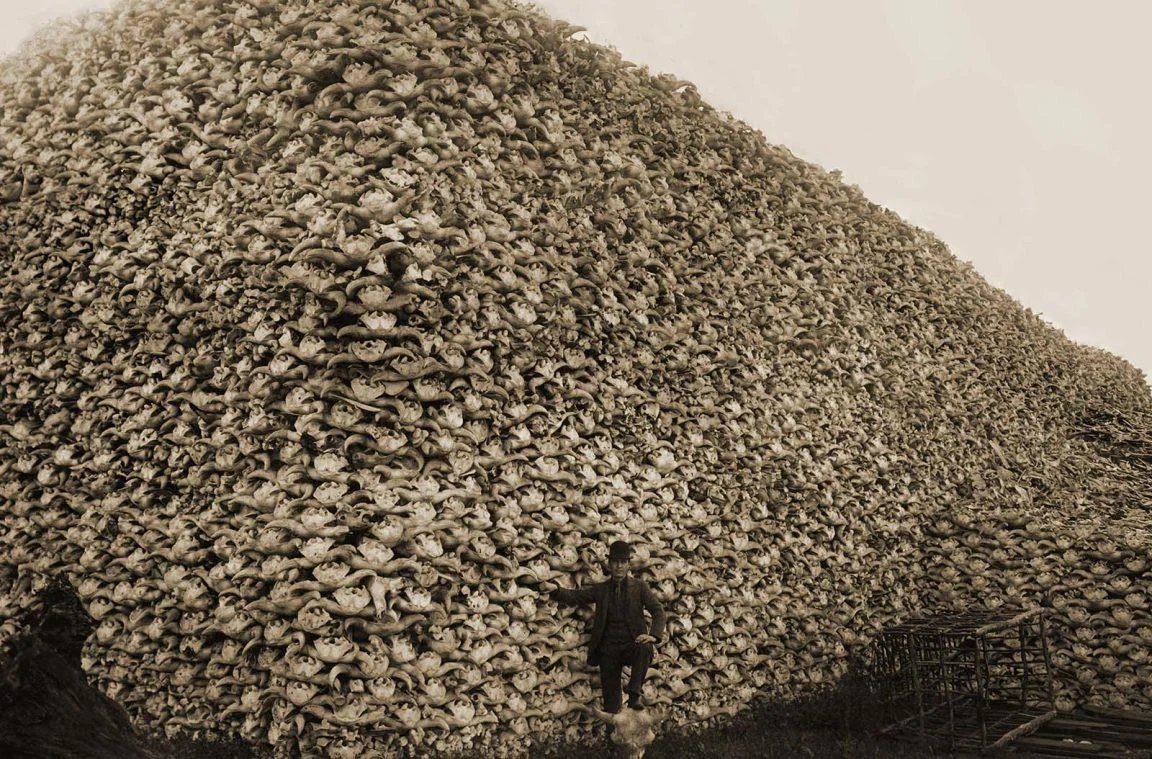 to give you an idea of how many bison were slaughtered 60 million to 300 in less than 100 years