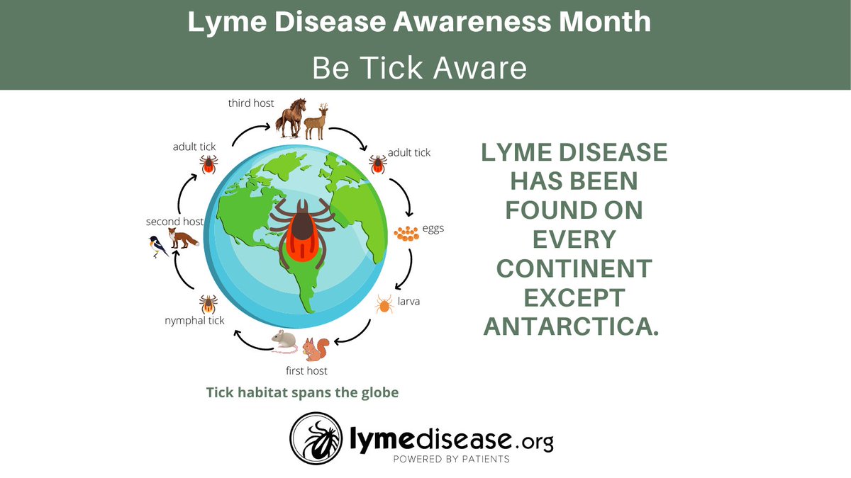 Ticks thrive in damp environments and are less active in hot, dry weather. Lyme disease has been found on every continent except Antarctica. Learn where Lyme is found: lymedisease.org/lyme-basics/ly…… #LymeDiseaseAwarenessMonth