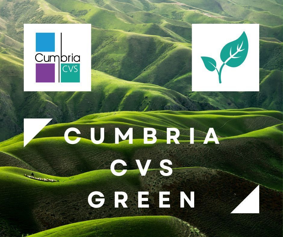 Cumbria CVS Green blog No2 is here! This month we’re reporting on Zero Carbon Cumbria: Emission Reduction Action Plans. You'll also find links to useful resources, information and news, updates on our own #climate commitment and more. cumbriacvs.org.uk/news/cumbria-c… #environment