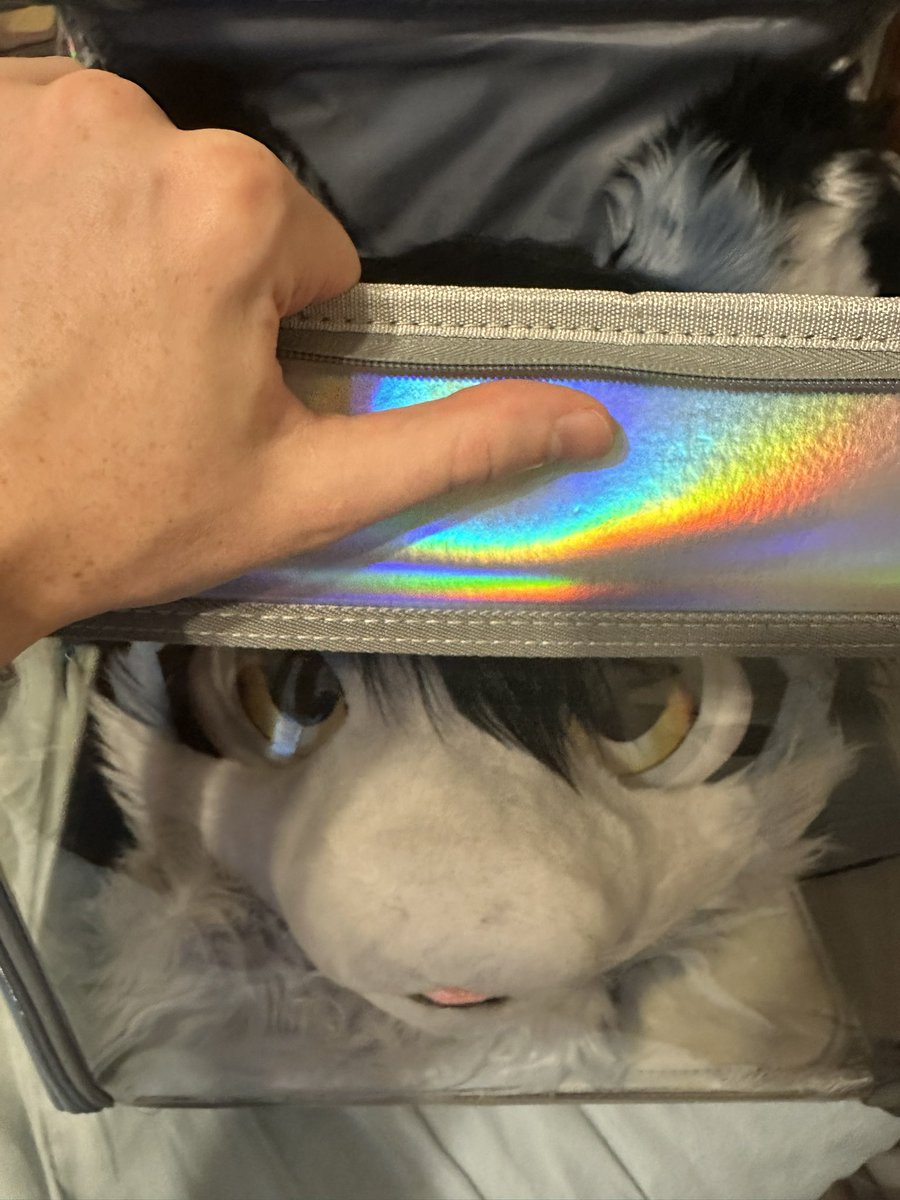 Despite all of my rage, I am still just a kemono in a cage.