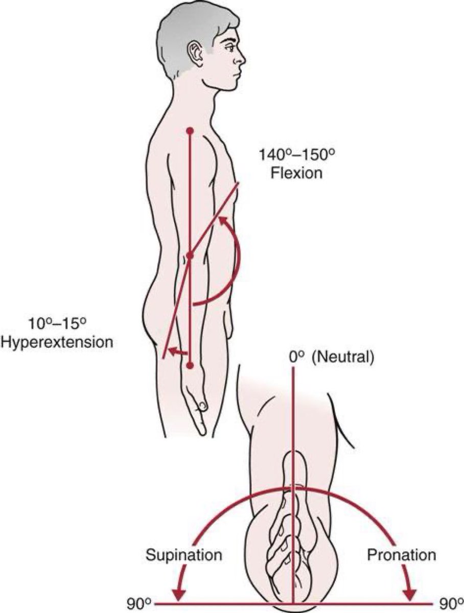 Normal elbow range of movement 👇🏼 flexion 👉🏾 ~150° extension 👉🏾 0° pronation 👉🏾 90°, supination 👉🏾 90° hyperextension 👉🏾 10° -15° #elbow #joint sciencedirect.com/science/articl…