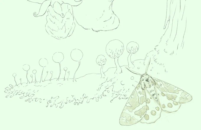 これが「飛んで火に入る夏の虫」こと、灯取り蛾
#虫注意 #虫好き 