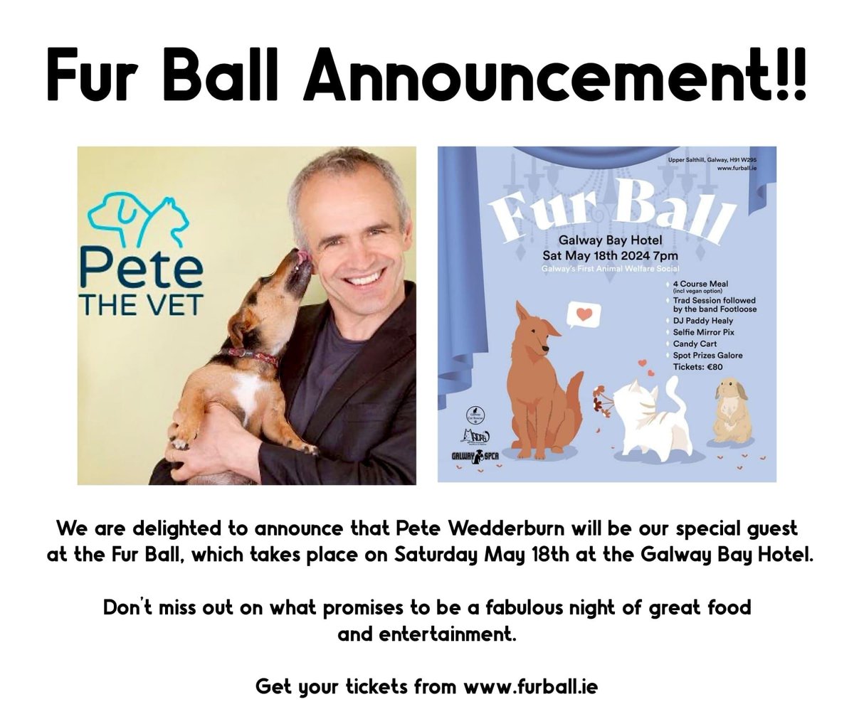 🎉 we are so excited to announce that TV star Pete The Vet will be joining us at the Fur Ball 🎉 Don't miss out on Galway's event of the summer, a night of feasting & fun 🌟 🐾 All in aid of MADRA, GSPCA & Galway Cat Rescue 🐾 Tickets & info furball.ie #Galway