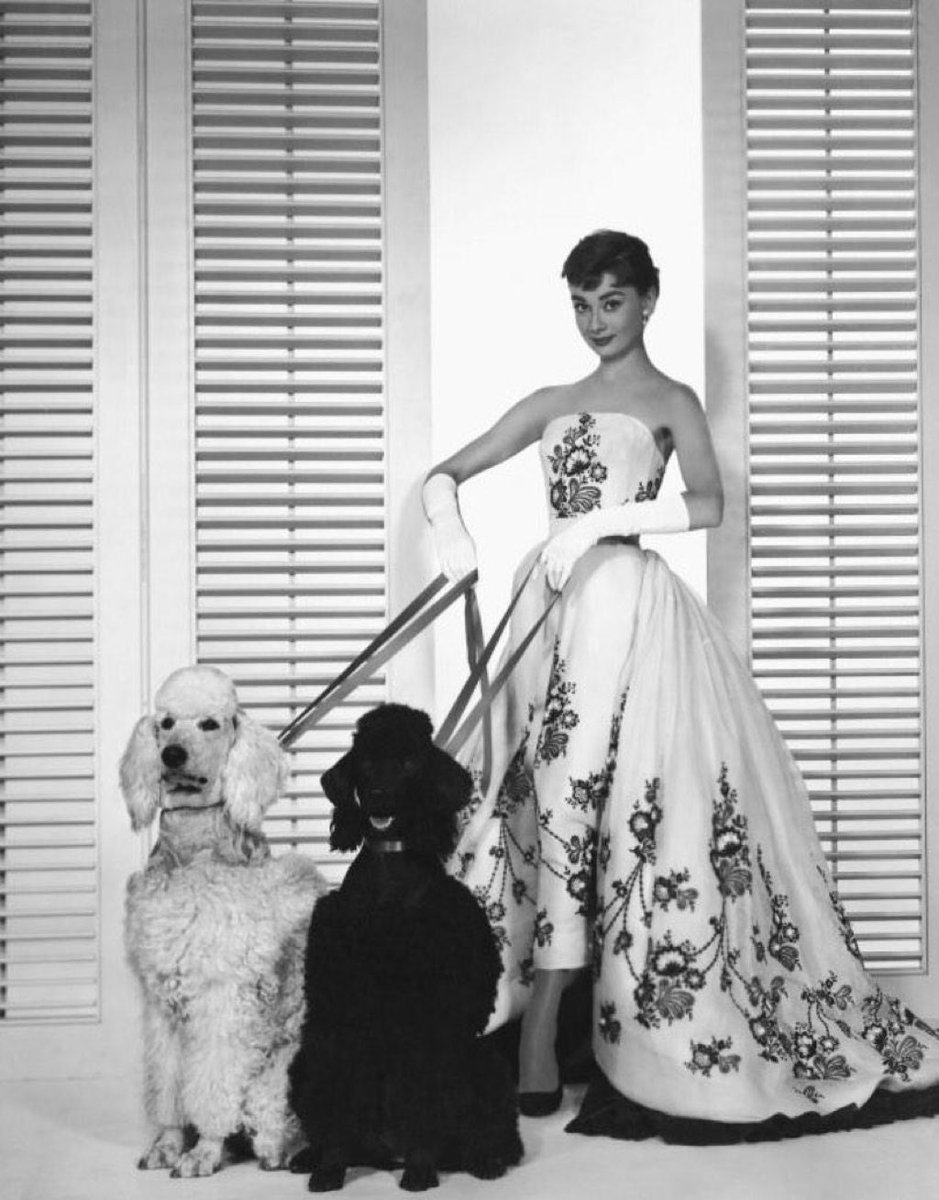 Happy, happy birthday to the #frockingfabulous Audrey Hepburn.