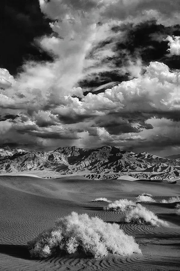 photography from Death Valley, California Click link for info and pricing buff.ly/4a6EMrj #art #photography #landscapephotography #blackandwhite #picoftheday #artwork #fineartforsale #California #desert #naturelovers #travel #art #Buyintoart #homedecor #photography