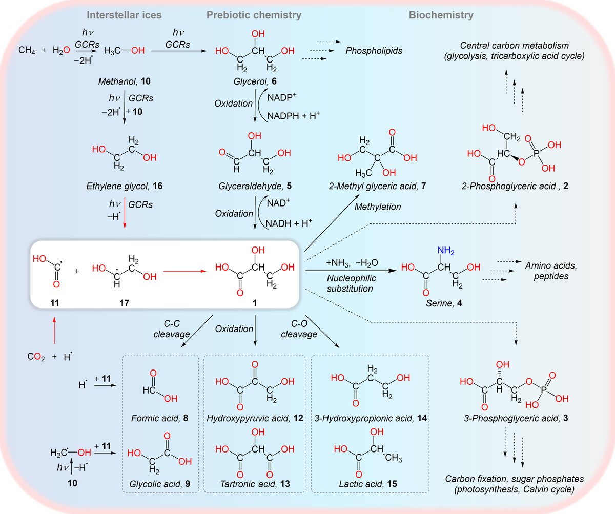 New experiments show how a simple sugar acid—a building block of life—could plausibly form in an interstellar cloud. scim.ag/6Qm @ScienceAdvances