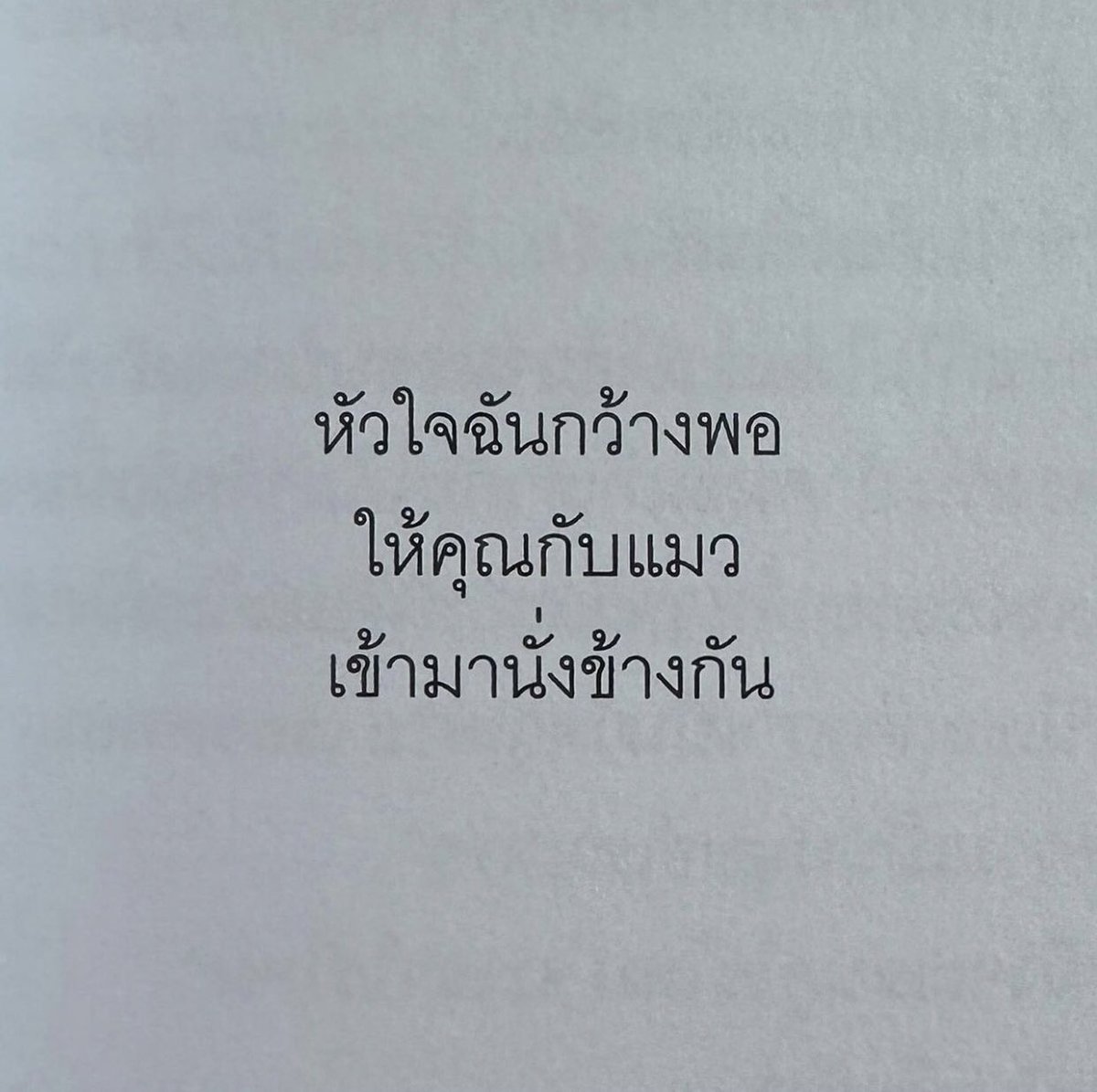 ilysb own (🍄) tweet media