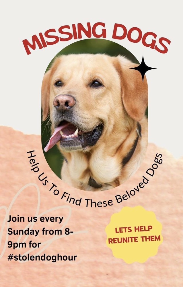 Please join us next Sunday 12th May 2024 and every Sunday from 8-9pm for #stolendoghour  🙏
An hour dedicated to posting stolen and missing #dogs and raise awareness of this issue. 
All welcome, just use the hashtag and we will RT 💕🐾
Thank you 🙏 🐶
 #stolendogs #missingdogs