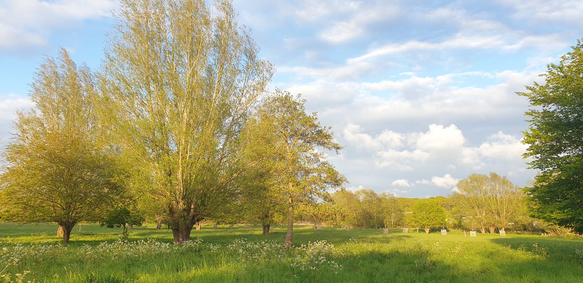 So we know about Seasonal Affective Disorder. Is there a term for the opposite, where you're so euphoric it's still light that you stay outside until it's way too late to start cooking a proper dinner?