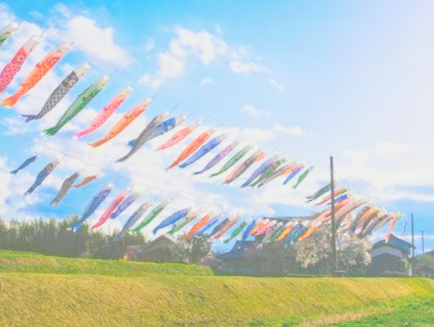 The traditional Japanese carp streamers, which are displayed to celebrate the growth of boys, are meant to wish them healthy growth. It expresses the wish that they will grow up to be strong and vigorous....
🌈🎏🎏🌈🌥️🌤️☀️
