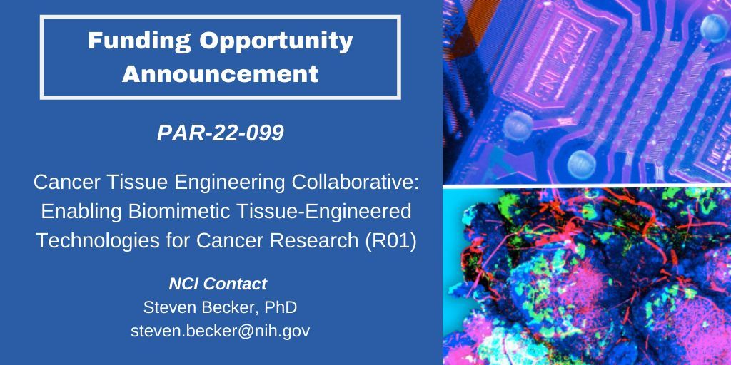 Learn more about @theNCI Cancer Tissue Engineering Collaborative (#CancerTEC) #FundingOpportunity that supports research projects enabling biomimetic #TissueEngineered technologies for cancer research: grants.nih.gov/grants/guide/p…