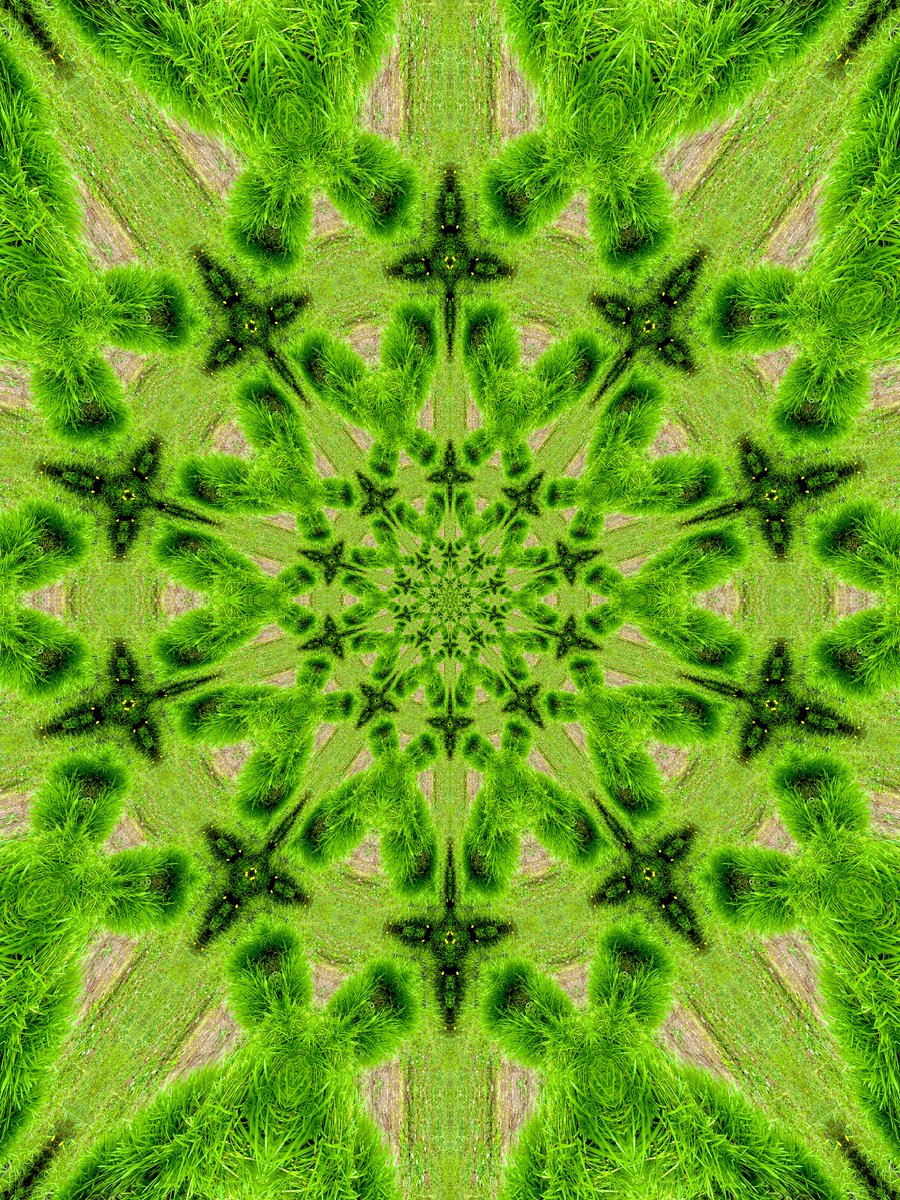 I went #Outside and got a photoshot of my #Backyard in #Kaleidoscope  had to get some quick #KaleidoscopeArt before the rain falls on this beautiful #KaleidoSaturday 🌎🌍🌏 the creative posts from #KaleidoX crew is 💯💯💯💯🔥