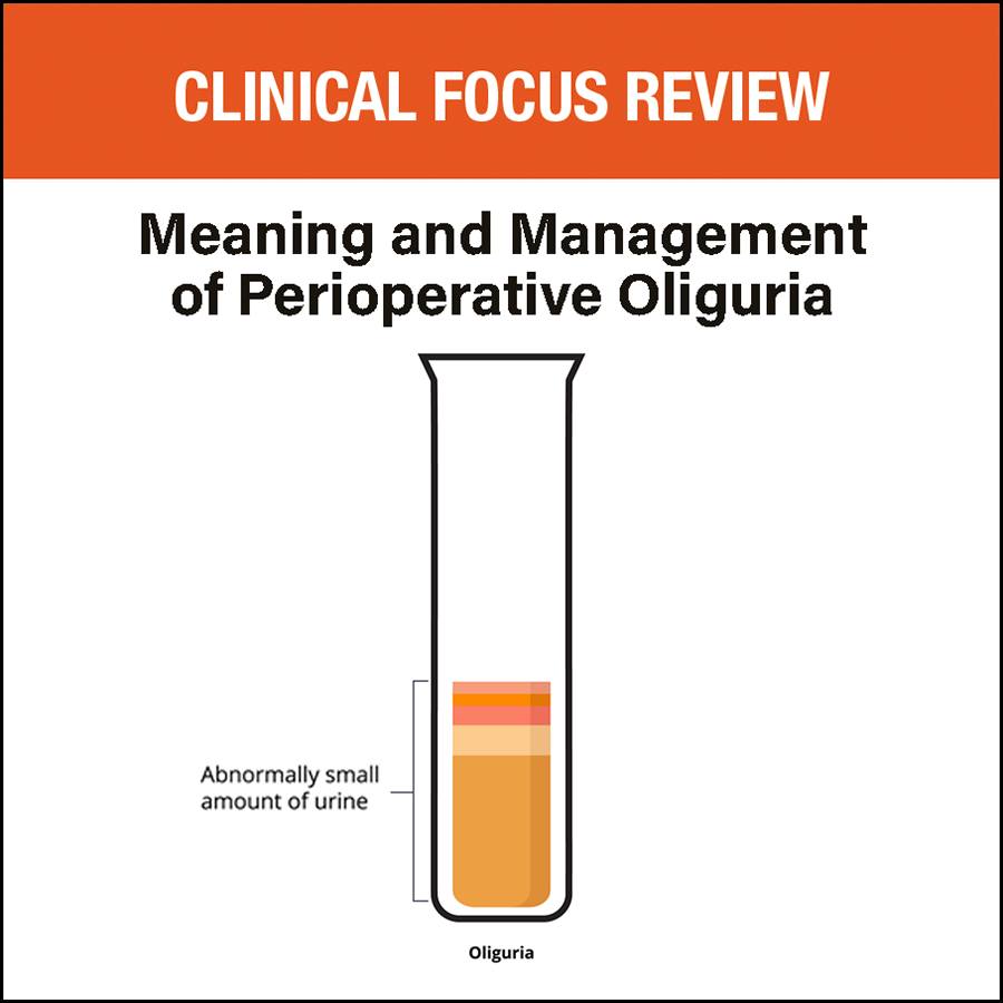 The initial assessment of perioperative oliguria includes closer patient monitoring, evaluation of volemic status, risk–benefit analysis of fluid challenge or furosemide stress test, and investigation of possible perioperative complications. Learn more: ow.ly/kVBp50RvbTL