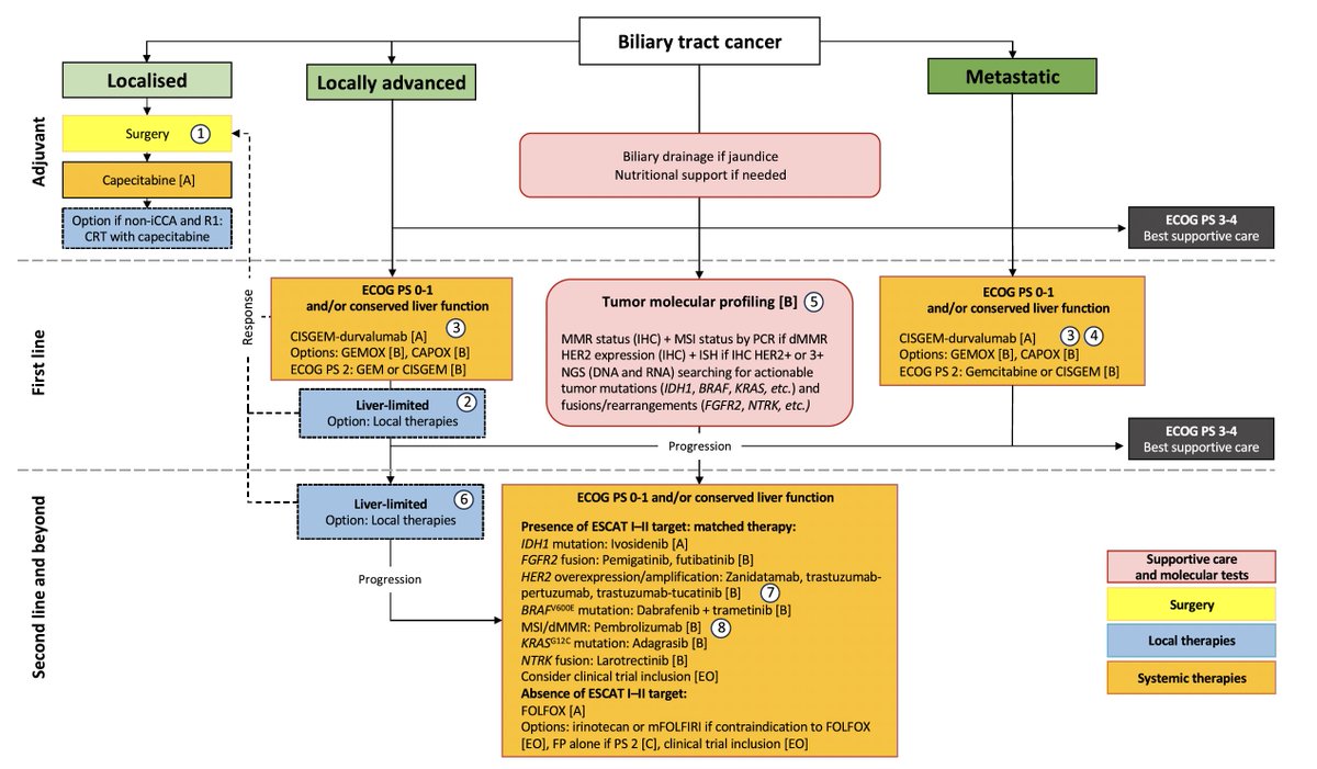 Biliary tract cancers: 🇫🇷 national clinical practice guidelines for diagnosis, treatments and follow-up (TNCD, SNFGE, FFCD, UNICANCER, GERCOR, SFCD, SFED, AFEF, SFRO, SFP, SFR, ACABi, ACHBPT) doi.org/10.1016/j.ejca… 👏comprehensive recommandations @myESMO @ILCAnews @EASLedu…