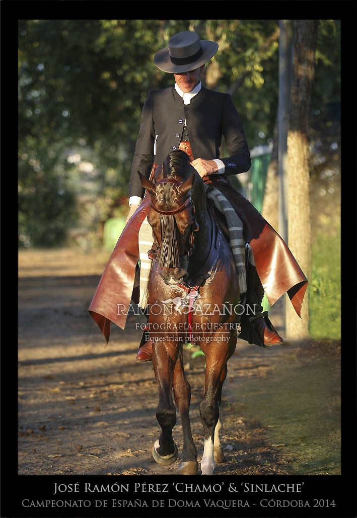 ramonazanon's tweet image. Recordando grandes Campeonatos de España de Doma Vaquera (Córdoba, 2014).
En la imagen José Ramón Pérez ‘Chamo’ montando a ‘Sinlache’.