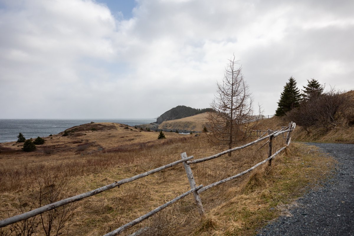 This particular location in Tors Cove, Newfoundland remains one of the most photographed locations on the Irish Loop and @EastCoastTrail, and for good reason. I'd love to see your photos taken from here! I have some pretty crazy wave 🌊 ones as well. #explorenl #newfoundland…