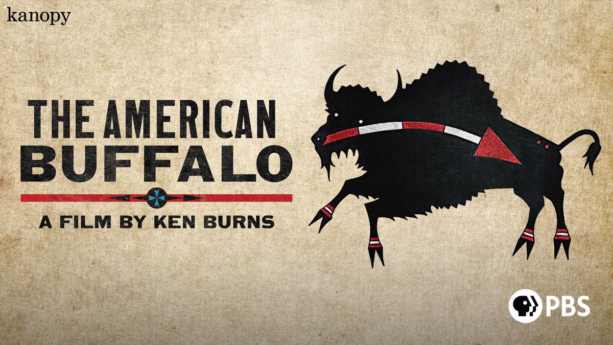 New to Kanopy! AMERICAN BUFFALO: A KEN BURNS FILM (2023) The story of America's national mammal being driven to the brink of extinction, before a collection of people rescues it from disappearing forever. kanopy.com/product/americ… @PBS #filmsthatmatter Available: 🇺🇸|🇨🇦|🇦🇺|🇬🇧