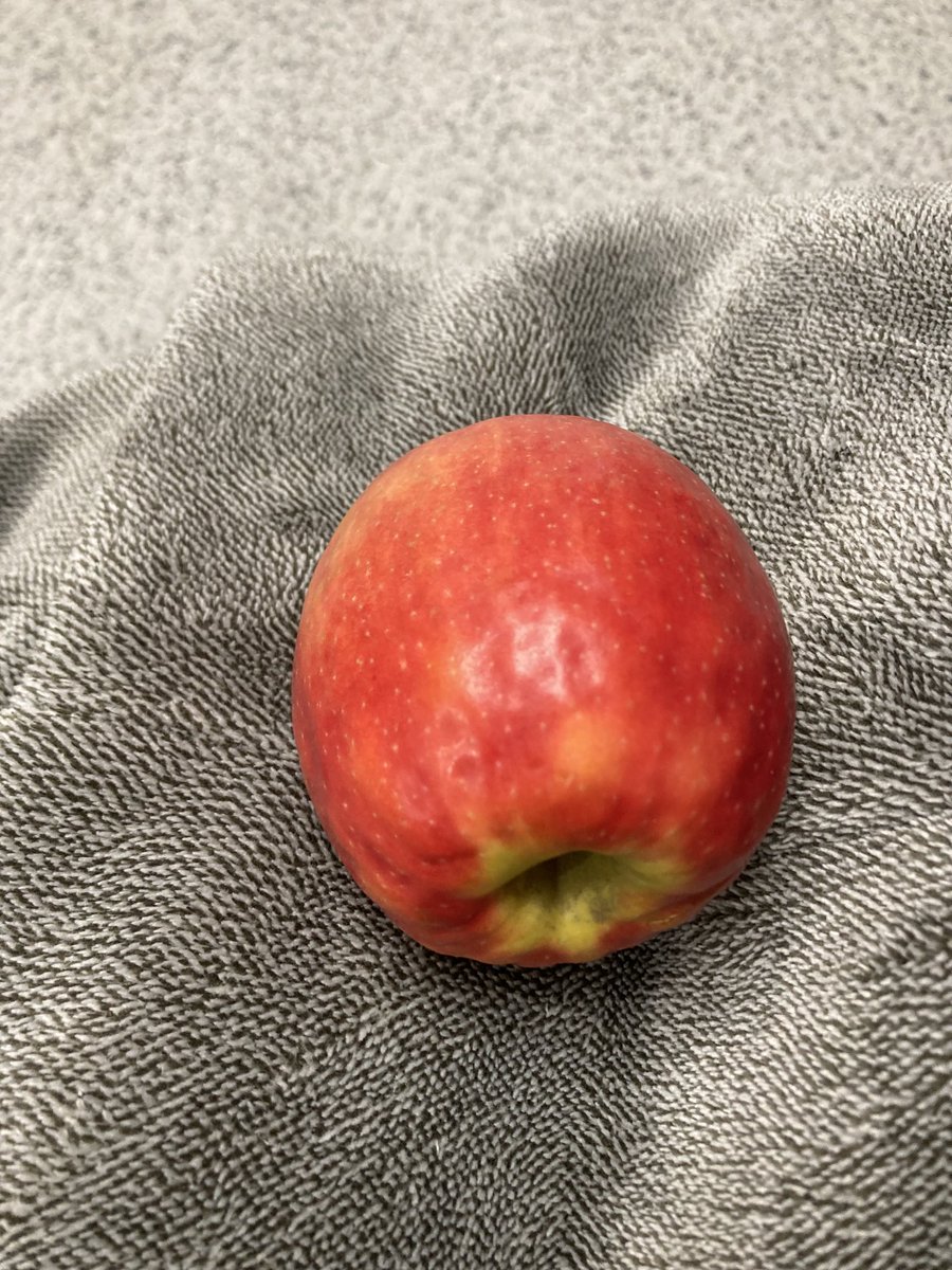 US Customs cop pulled us out of the line, put both passports in a zipped bag and marched us to get thorough federal inspection because I had this apple in my hand. Bananas are OK, apples forbidden per feds. No leaving until next feds clear us. Not making this up. Atlanta airport