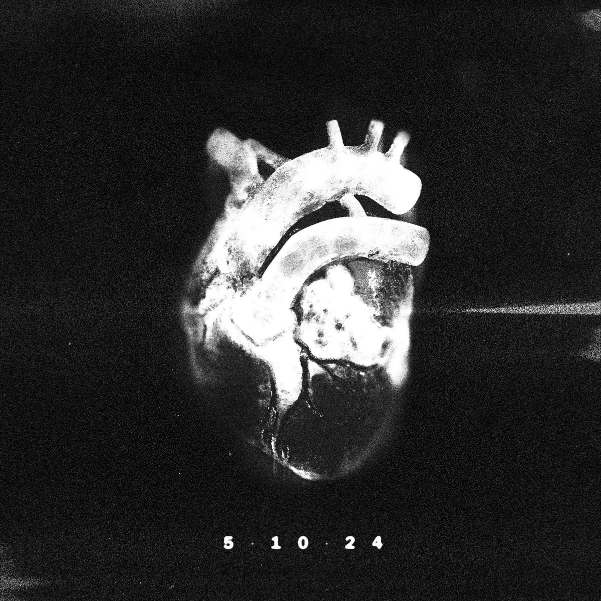 Narcissus (@narcissusrock) on Twitter photo 