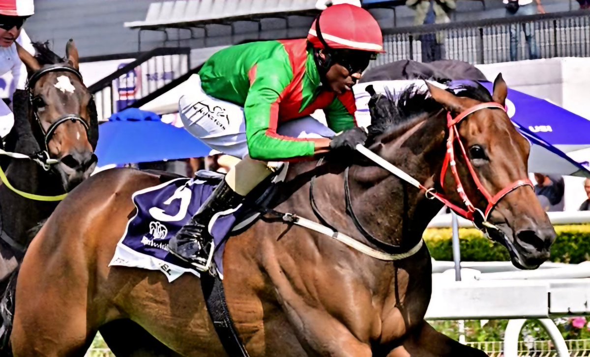 The asute purchase of Frances Ethel was rewarded again when she was nominated for the Champion Stayer Award for the Highveld Season. She famously won the G2 SA Oaks after Team Valor purchased her during the week of the race.