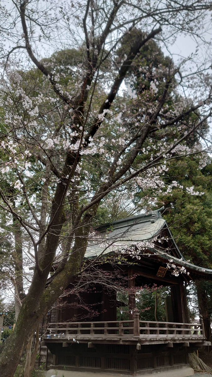 栃木県栃木市 平柳星宮神社にて月参り⛩️ 日和の御朱印拝受☺️