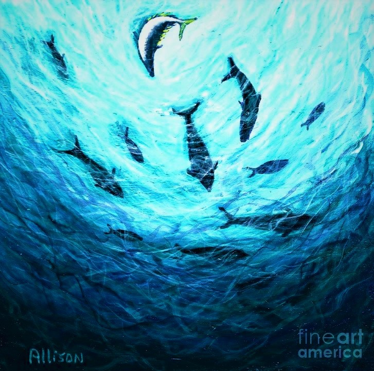 Many, many thanks to the 30 visitors who visited my website this week to view this image. Your support means more to me than you know!❤️❤️❤️❤️❤️

pixels.com/featured/bluef…

#bluefintuna #ocean #oceanconservation #allisonconstantino