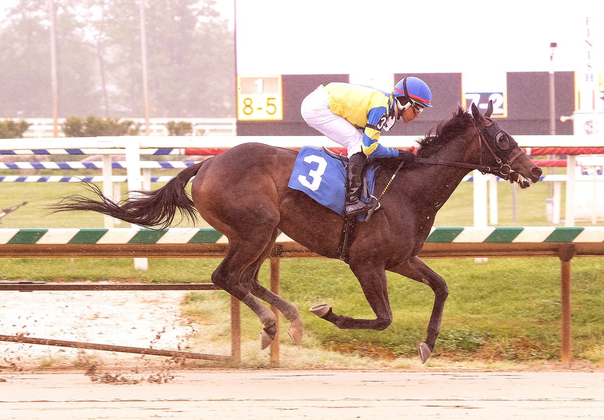 First-time starter Striker Has Dial, 3YO Dialed In filly, leads all the way to take 7F MSW @LaurelPark with Jaime Rodriguez riding. Trained by @depazracing for Chief Horse Futures. (Jim McCue 📷)