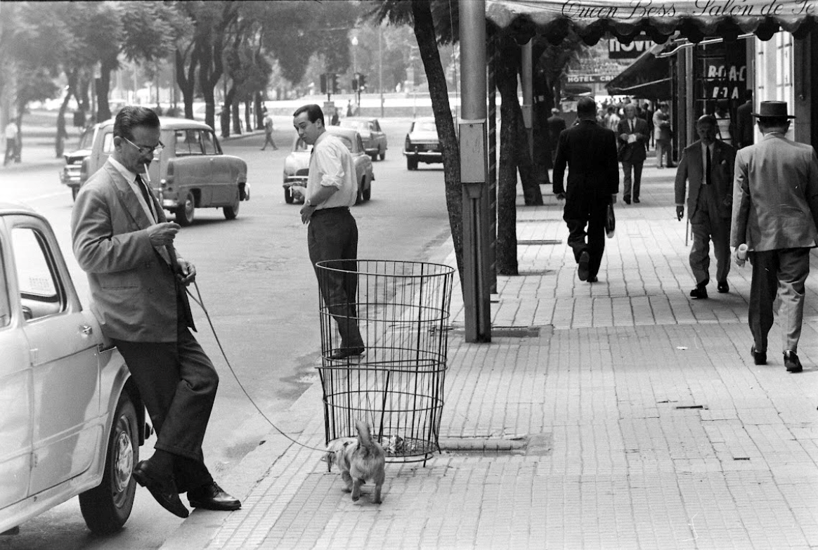 OldArg1810's tweet photo. Fotografías que retratan a la Ciudad de Buenos Aires durante los meses de abril y mayo del año 1964. 1/7 https://t.co/GDq8odmyvY