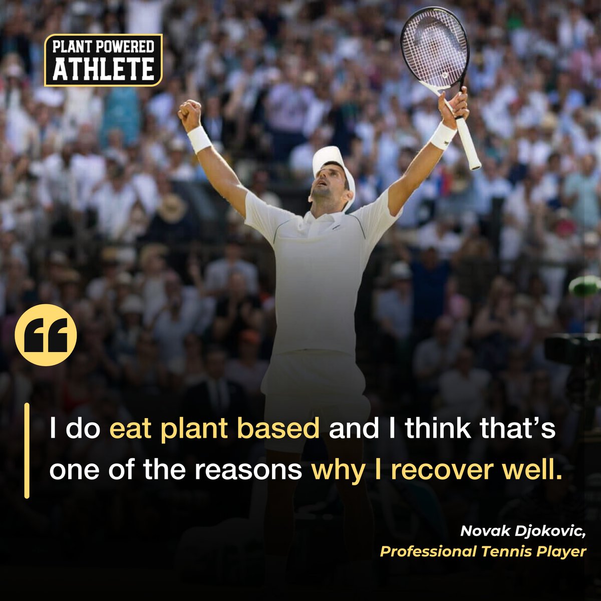 Ace your health game like Novak Djokovic! 🎾🌿 

The tennis legend serves up proof that a plant-based diet can be the key to swift recovery and enduring stamina.

Ready to rally for your recovery the plant-based way?

#plantpoweredathlete #plantbasedprotein #plantbasedcoach #...