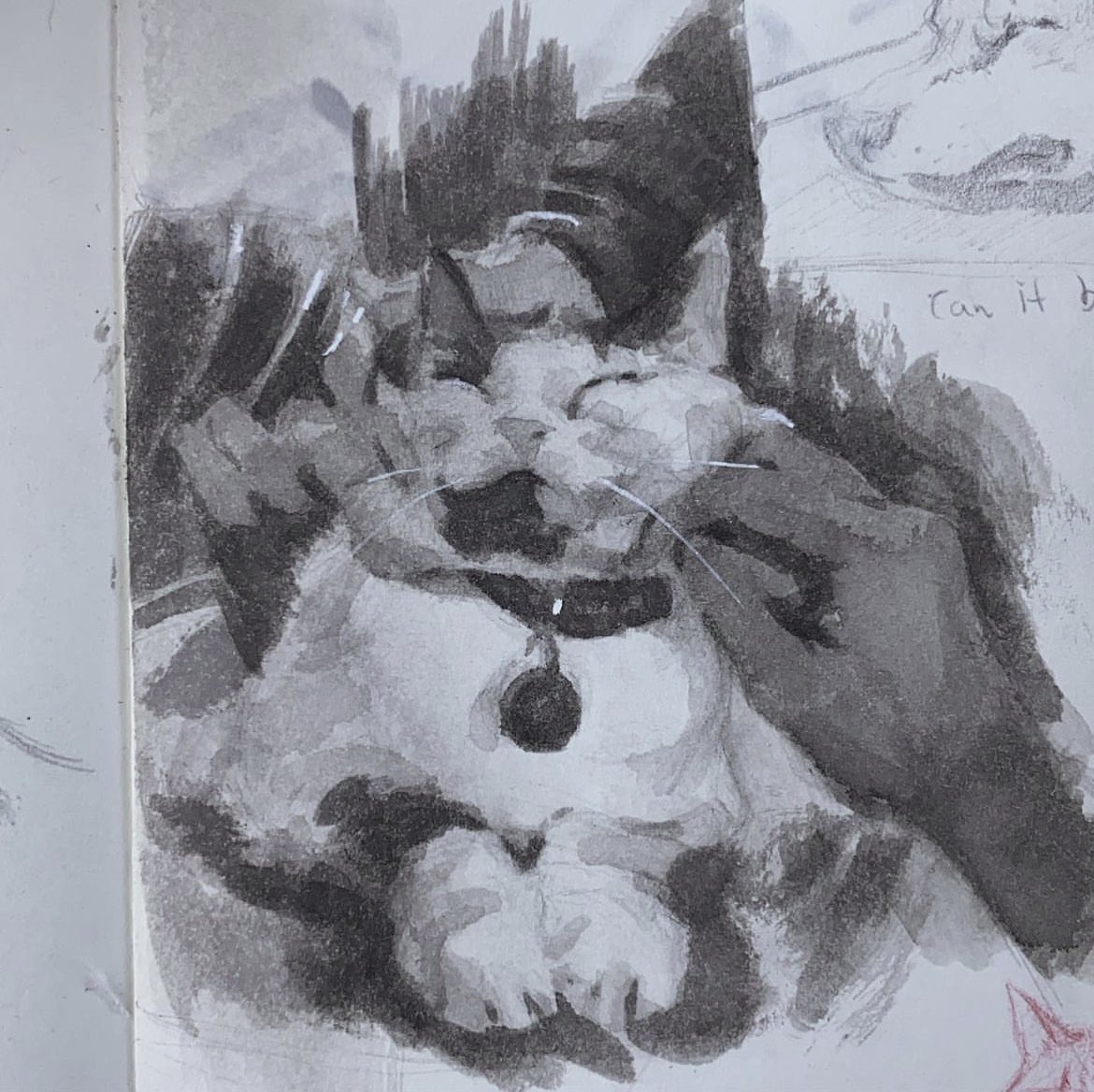Pet da cat 🐱 one from an old sketchbook
