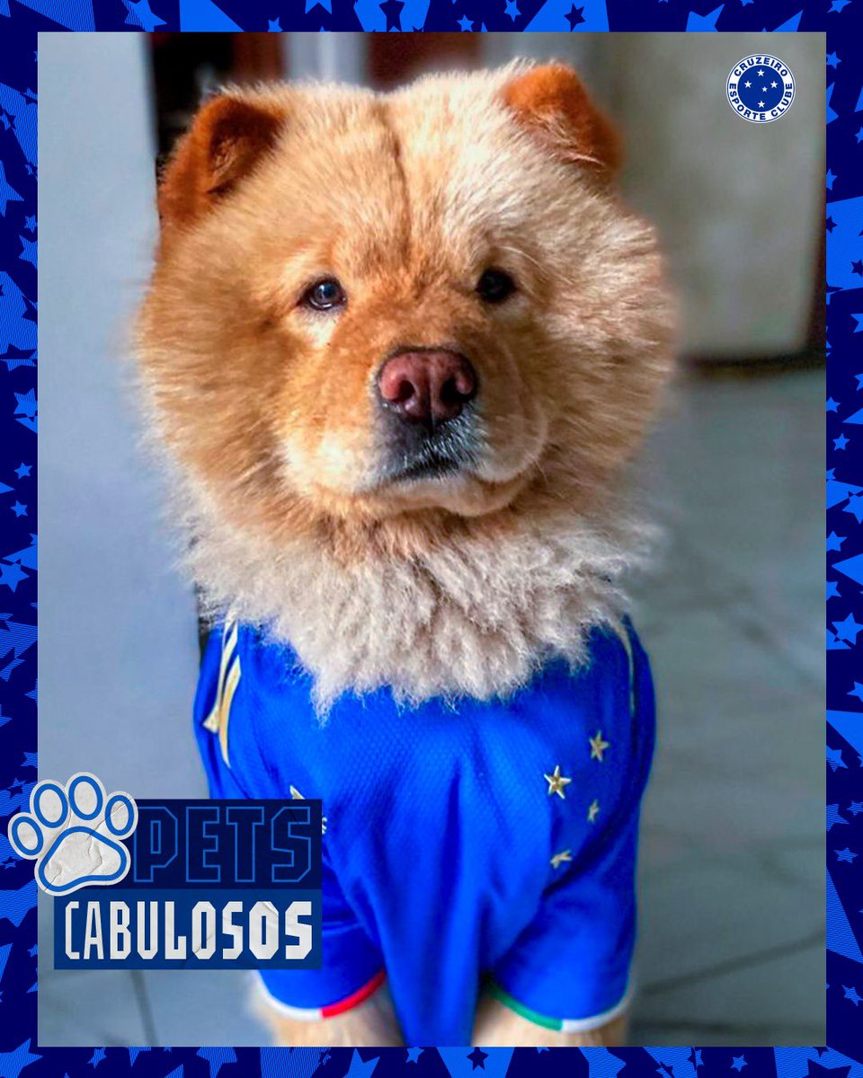 Cruzeiro 🦊 tweet media