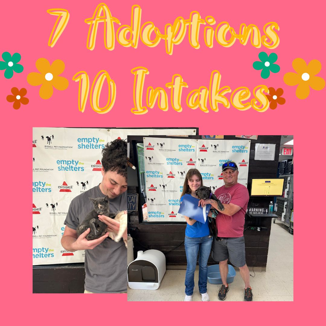 We had a good day today with 7 adoptions and 10 intakes. Come see us tomorrow. We will be open from 12pm-2:30pm. Thank you to Bissell for the Empty the Shelter Adoption Event.