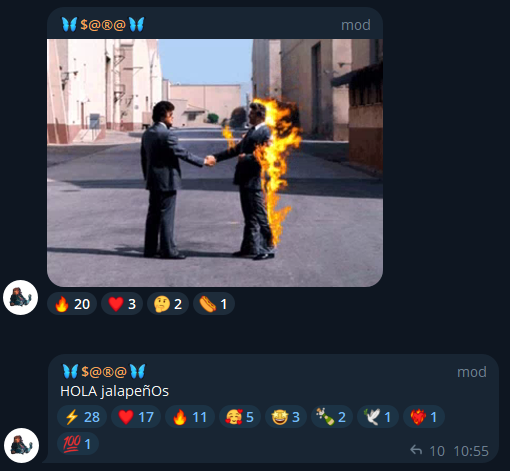 STARZZ tweet media