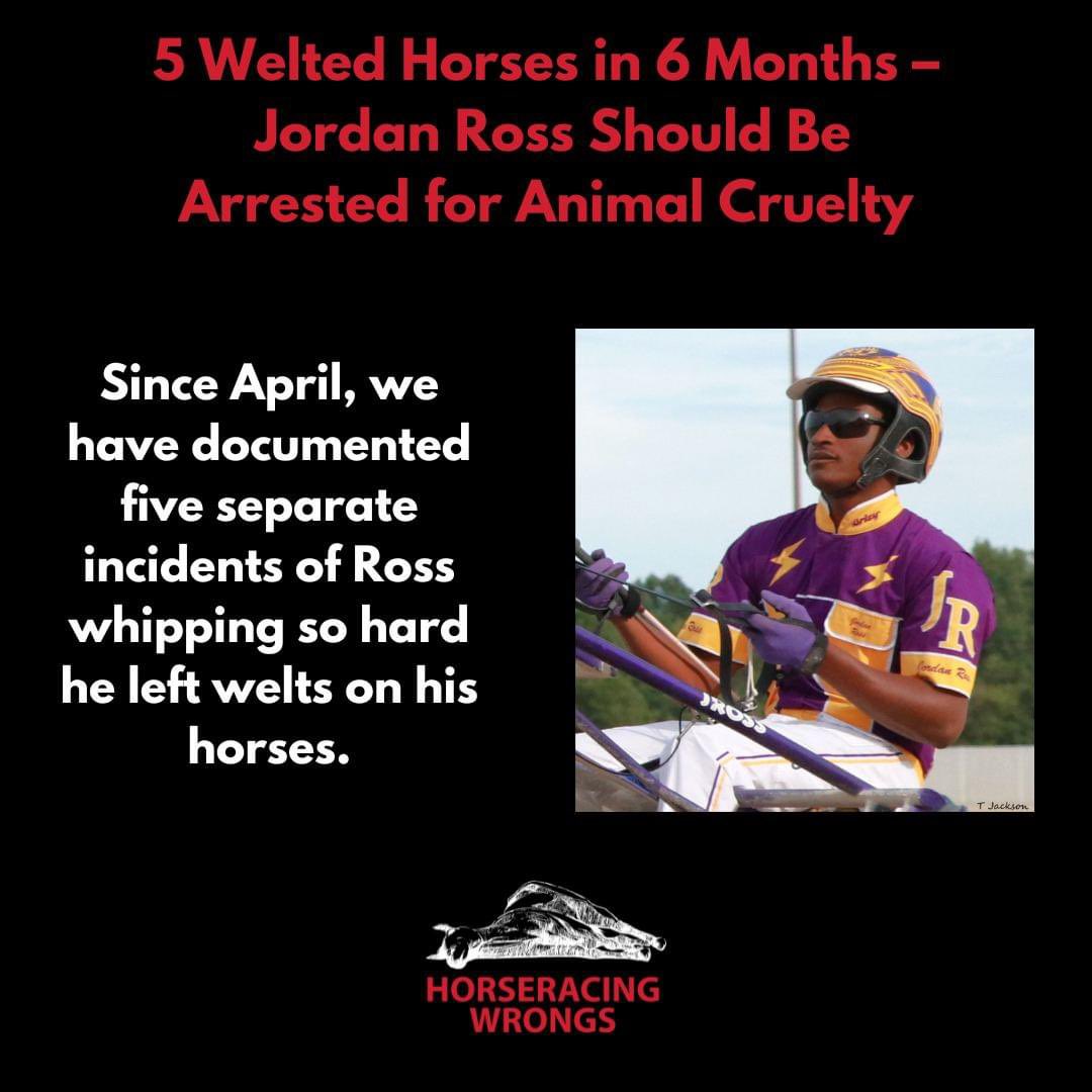 If horseracing is a sport…
In what other sport are:
THE ATHLETES WHIPPED AND BEATEN – FOR MOTIVATION?
#EndHorseracing #KYDerby